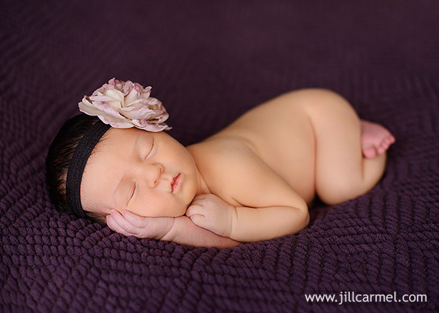 flower headband on purple blanket newborn portrait