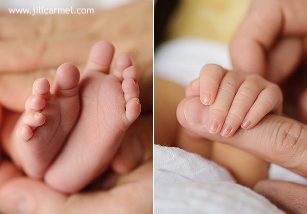 tiny hands and feet captured in newborn session