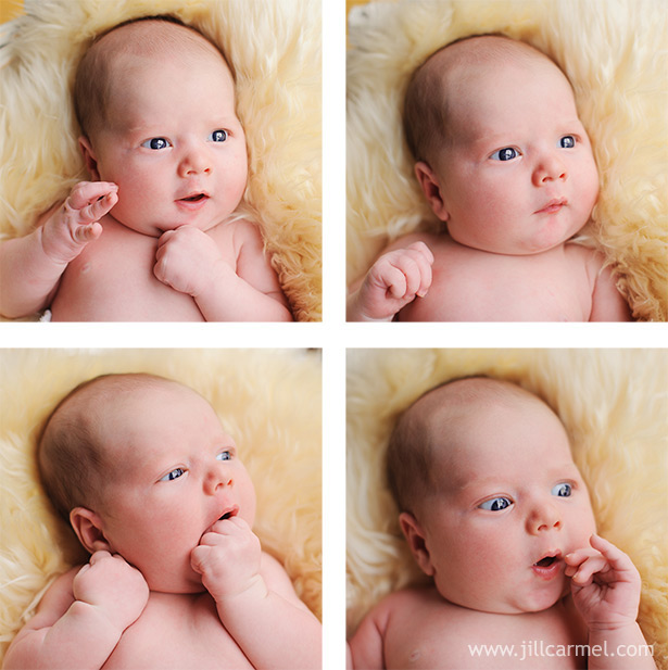 collage concept for newborn baby session expressions