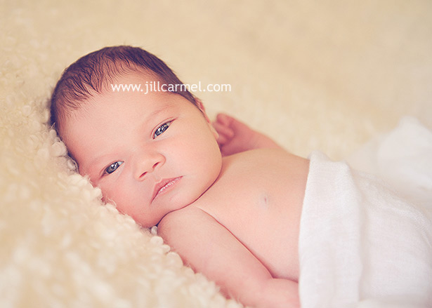 newborn baby portraits sacramento