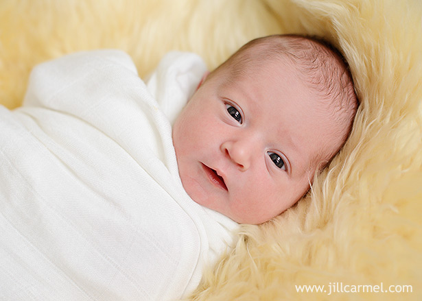 lifestyle newborn photography (7)