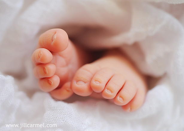 perfect little baby toes for her los angeles newborn baby photography session