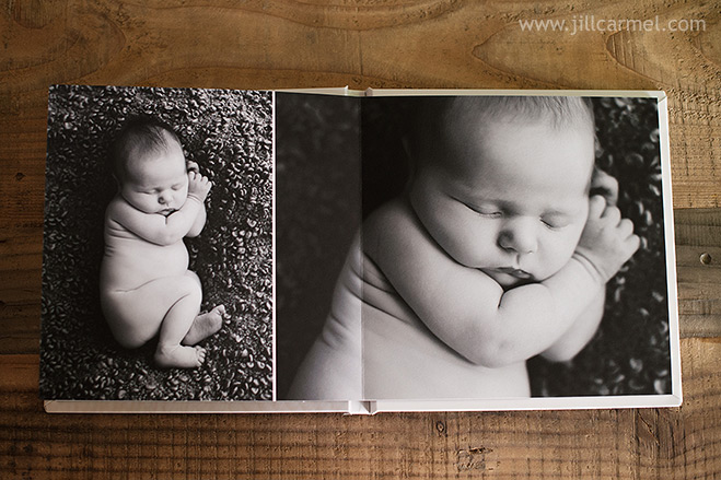 newborn baby photography album (5)