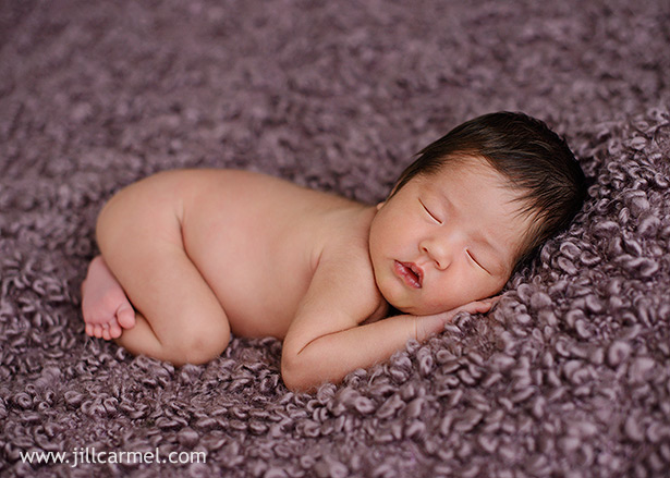 newborn pose on a purple soft blanket