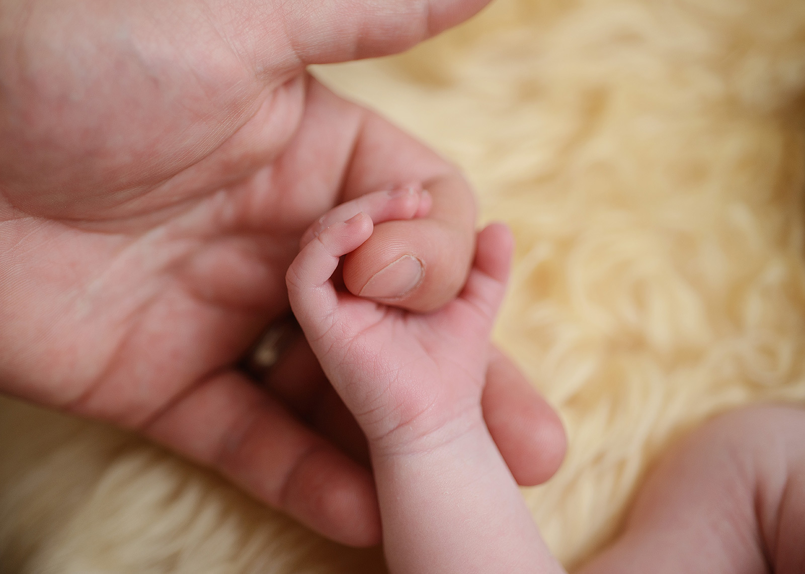 Newborn baby holding parents fingers
