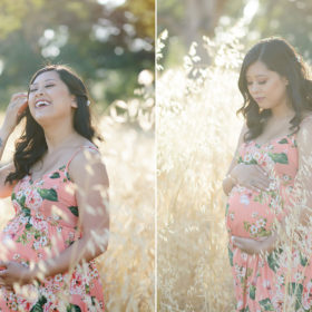 Maternity photos in wheat field in natural light