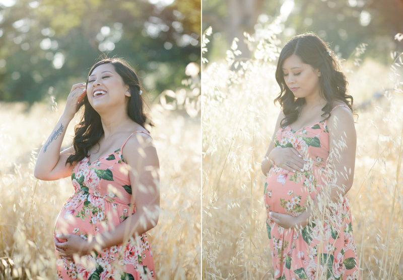 Maternity photos in wheat field in natural light