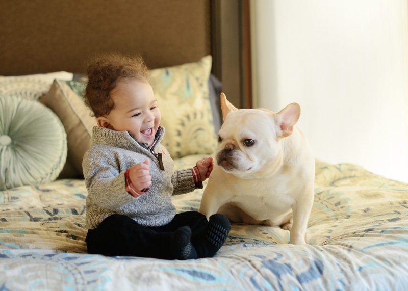 Vince Carter Baby Boy with French Bulldog on Bed