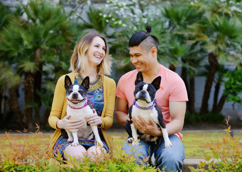 Colorful couple photo with their dogs on the grass at the Sacramento State Capitol
