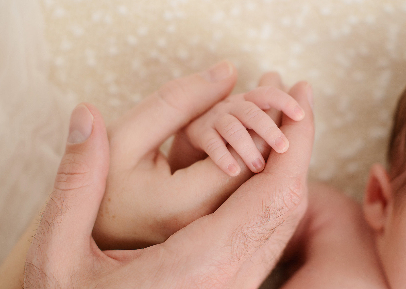Newborn baby close up of hands with parents hands