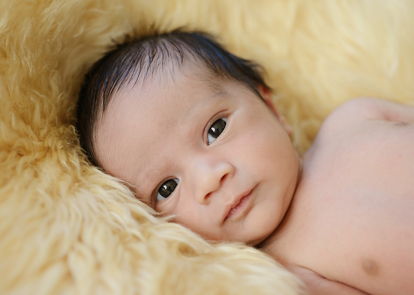 Newborn baby looking straight at camera on faux fur throw