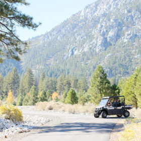 Landscape shot of jeep driving with Nevada mountains and pine trees in background