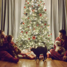 Family in matching pajamas sitting around Christmas tree with cat and dog