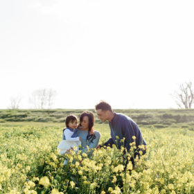 Family photos in middle of yellow wildflower field in West Sacramento