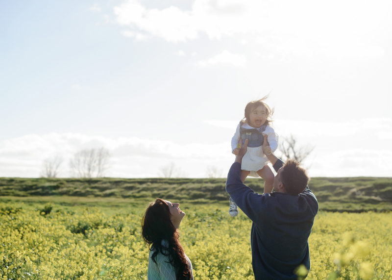 Dad lifting up toddler daughter to the sky in middle of flower field in West Sacramento
