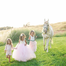 Little girls wearing pink tutus walking with a white horse on a meadow