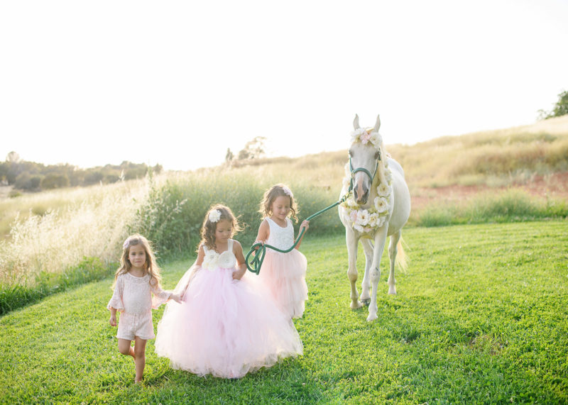 Little girls wearing pink tutus walking with a white horse on a meadow