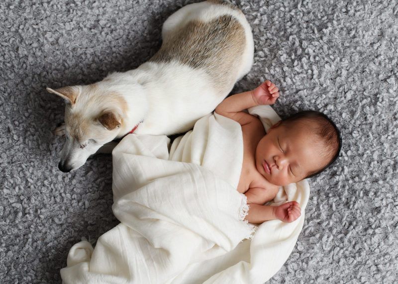 Sleeping newborn baby girl photo with dog at home in Campbell