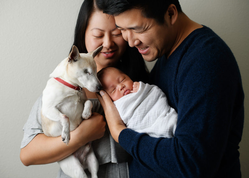 Family portrait with newborn baby and dog in Campbell home