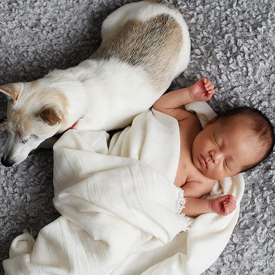 Newborn girl sleeping in muslin swaddle with dog