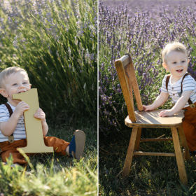 One year old boy posing with chair and number one in lavender fields in Dixon