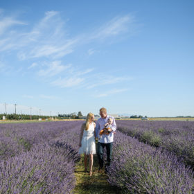 Family walking through lavender field with large blue sky background in Dixon