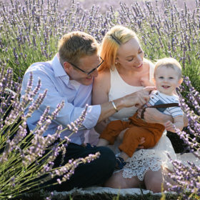 Love-in-the-Lavender-Fields-Family-Photos_COVER