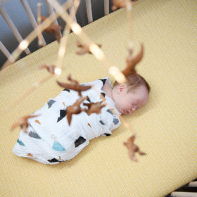 Sleeping Newborn Baby Aerial View with Wooden Bird Mobile in Nursery in Sacramento