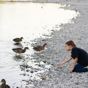 Daughter feeding ducks by river bank in Fair Oaks