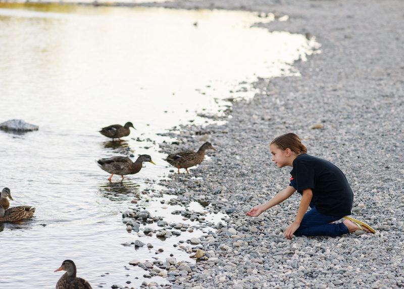 Daughter feeding ducks by river bank in Fair Oaks
