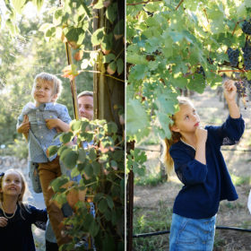 Son looking at spiderweb and daughter picking grapes in Quarryhill Botanical Garden Sonoma