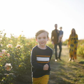 Little boy running in flower farm field with mom, dad and little brother in background in Sacramento Valley