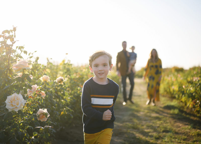 Little boy running in flower farm field with mom, dad and little brother in background in Sacramento Valley
