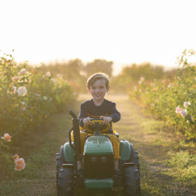 Little boy smiling as he rides on toy John Deere tractor in between rows of rose bushes in Sacramento Valley