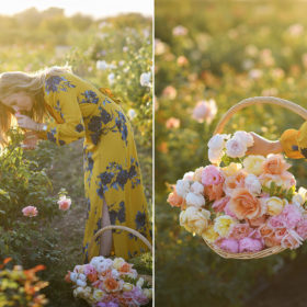 Mom smelling roses and holding a basket of colorful roses during sunset at a flower farm in Sacramento Valley