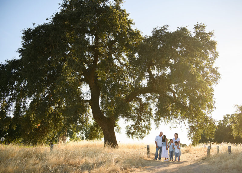 Family under a large oak tree wide shot in dry grass in Sacramento