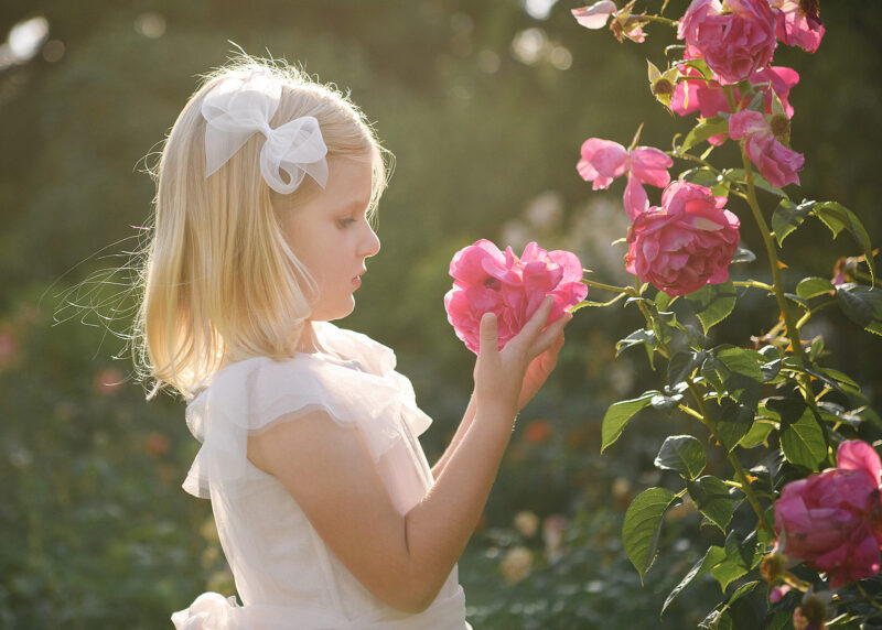Little girl smelling pink roses at McKinley Park Rose Garden Sacramento