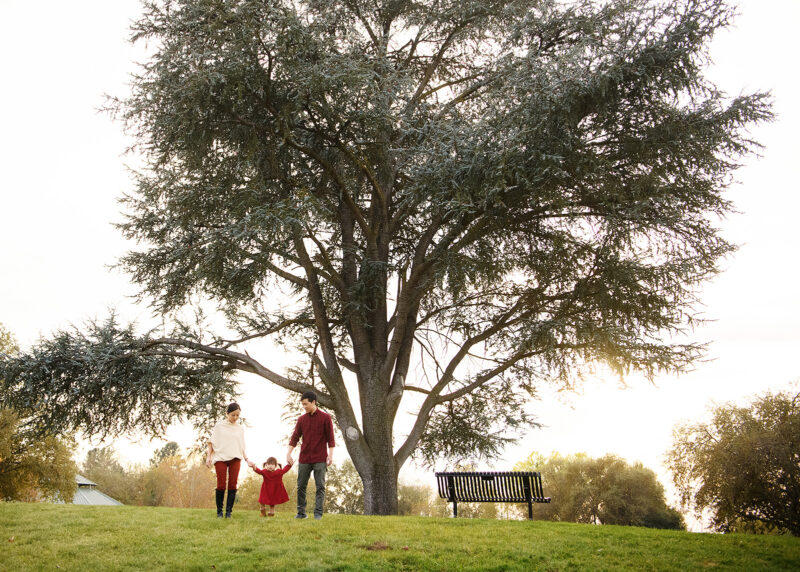 Mom and dad holding toddler daughter's hands under a large tree in Rancho Cordova Park