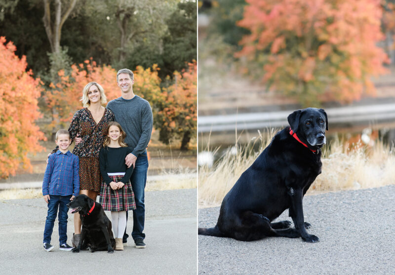 Family photo with black labrador retriever dog with fall foliage in the background in Davis