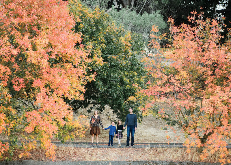 Long overview shot of family standing next to fall foliage trees in Sacramento