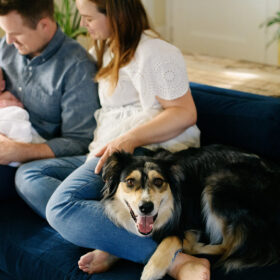 Dog lying by mom’s feet as dad holds newborn baby on couch at home
