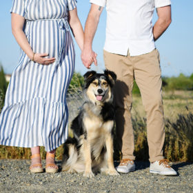 Close up of dog in between pregnant mom and dad holding hands in Sacramento