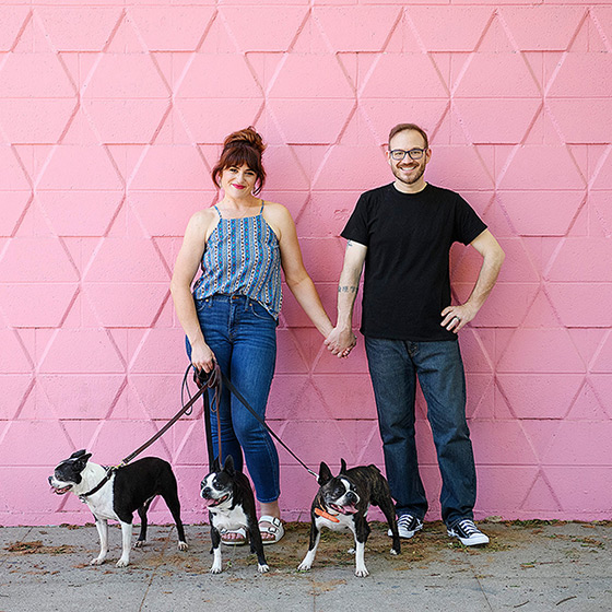 Couple holding hands while holding Boston Terriers in front of pink wall
