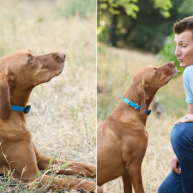 Brown dog kisses dad on dry grass field in Rocklin