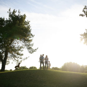 Family and dog silhouette while standing on a grassy hill and large tree in Rocklin