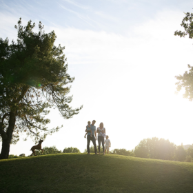 Family and dog silhouette while standing on a grassy hill and large tree in Rocklin
