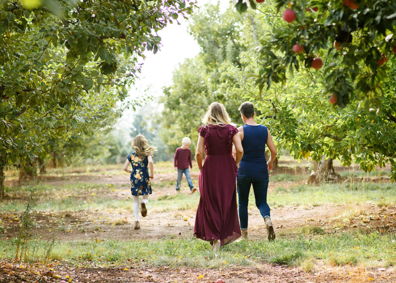 Family walking through orchards framed by apple trees in Apple Hill