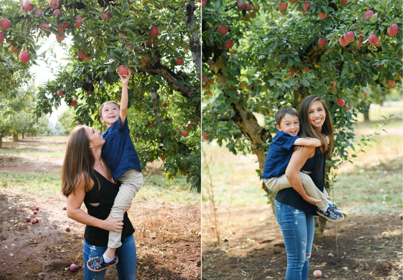 Mom lifting up son to pick apples on tree in Apple Hill