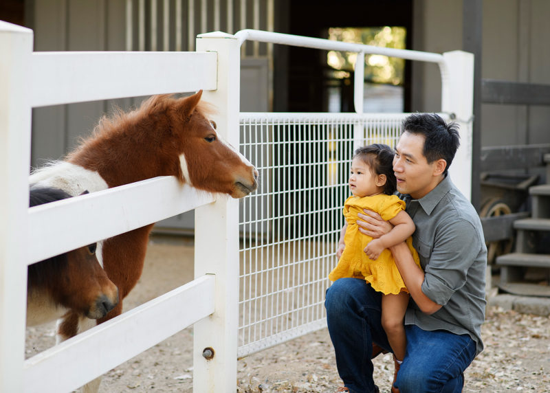 Dad brings daughter to see pony in Bywater Hollow Lavender Farm