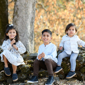 Brothers and sister toddler sitting on rock wall against fall foliage